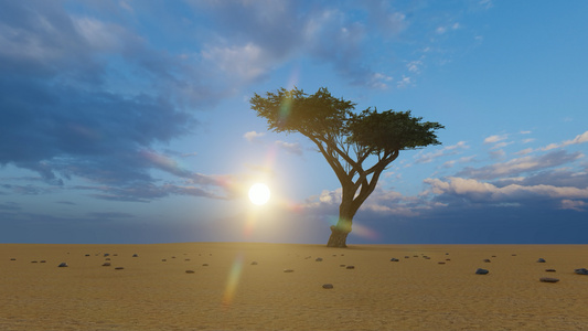 日落时在沙漠中部的一棵单树关上视频