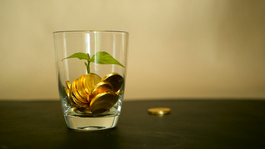 玻璃罐中的金币和黑色背景上的新芽绿叶旋转扭曲旋转旋转视频