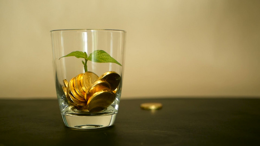 玻璃罐中的金币和黑色背景上的新芽绿叶旋转扭曲旋转旋转视频