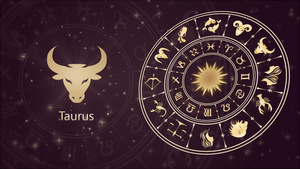 zodiac符号图鲁和星座轮21秒视频