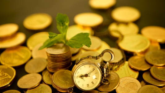 金融业务成功的时机投资商业金融理念概念管理效率时间视频