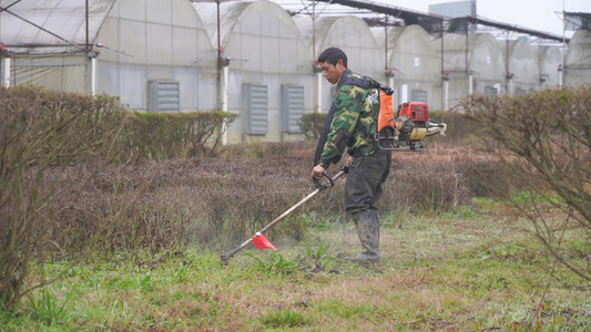 农民工使用割草机割草视频