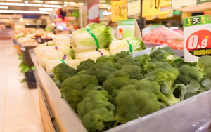 超市蔬果大卖场西兰花4秒视频
