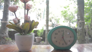 花瓶和表上的闹钟26秒视频