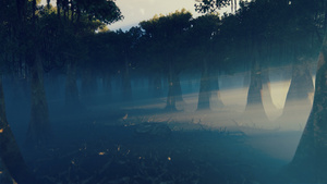 摄像头飞经4公里高的雾雾笼罩的黑暗幽暗森林31秒视频
