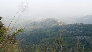 乡村大米梯田的风景12秒视频