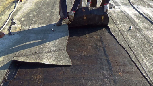 建筑工人在一堵墙上打石膏手握着美洲的土筋视频