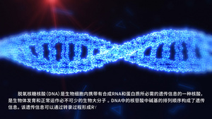 DNA动画AE模板视频 40秒视频