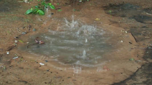 雨下在土壤中4K视频