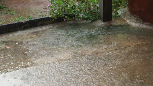 雨下在旧水泥地板上阳光明媚4公里视频