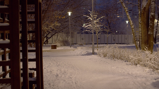 夜间在城市公园下雪视频