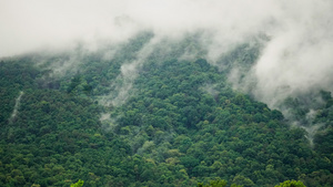 雨季雨云覆盖热带森林山大马奇昂泰河流域11秒视频