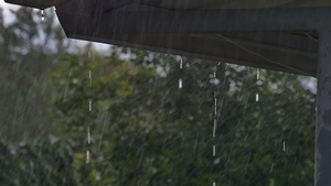 在雨的屋顶25秒视频