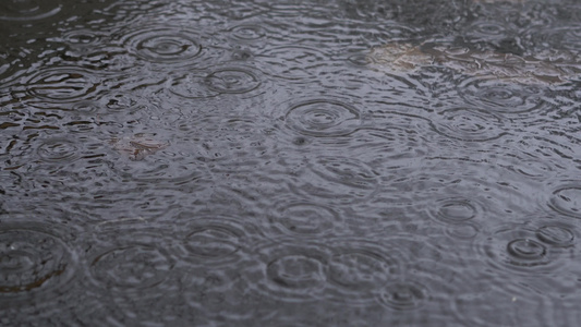 雨水滴落到池塘封闭中视频