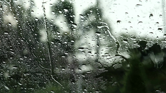 雨滴在车的镜子和公园的模糊树上视频