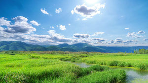 云南地区泸沽湖的草海15秒视频