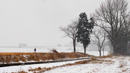 在暴风雪中男人在铁轨公路上走着狗走着他的狗视频