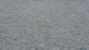 白雪覆盖青草9秒视频