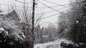 街道上落下的雪花沥青路上的脚印和轮胎足迹15秒视频