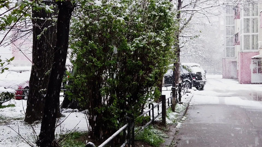 街道上落下的雪花脚印沥青路上的轮胎轨迹和树上的雪视频