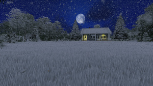 在美丽的夜晚下雪与小房子一起24秒视频