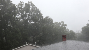 夏季暴风雨20秒视频