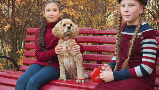 十几岁的女孩朋友和可卡犬坐在秋天公园的长凳上两个快乐视频