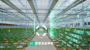 简洁大气三维科技农业种植实拍后期合成展示22秒视频