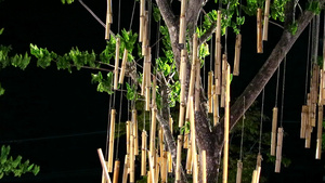 竹子挂在树上夜园风摇荡9秒视频
