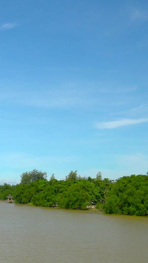 泰国素叻城市河流他彼河延时合集20秒视频