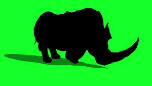 三D绿屏3d形成动画动物的闪光犀牛冲刺侧面绿色屏幕22秒视频