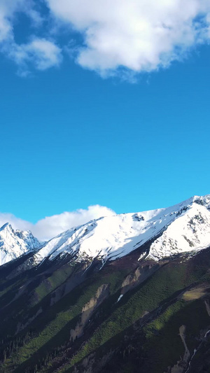 航拍中国壮丽雪山冰川风景青藏高原23秒视频