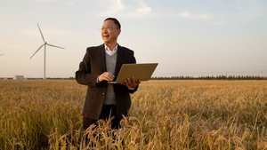 站在田野中研究水稻的农业技术人员25秒视频