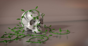 白头骨被红桃花3D动画15秒视频
