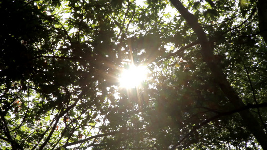自然太阳光视频
