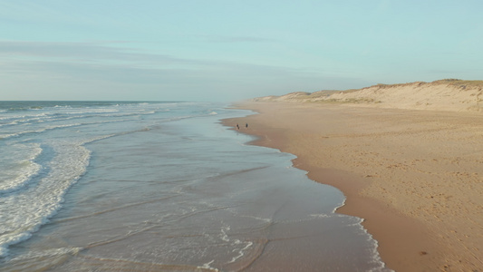 快乐的浪漫中年夫妇享受放松日落在无尽海滩上散步与狗视频