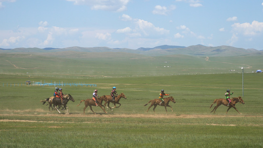 蒙古赛马比赛视频