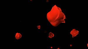 透明通道向前飘的玫瑰花朵60秒视频