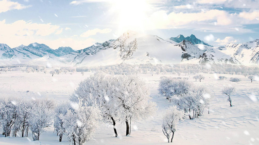 雪花飘落背景视频