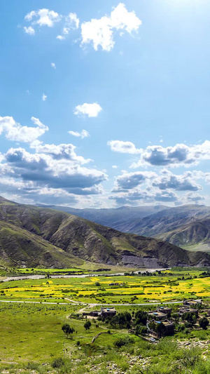 西藏蓝天白云自然风光大草原15秒视频