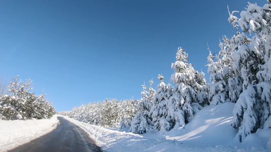 在山路上驾驶第一视角车横跨长青树的山路令人惊叹的冬季视频