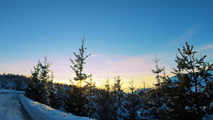 松树日落唯美雪景8秒视频