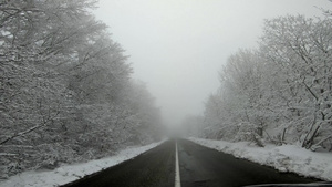 冬季风雪覆盖了沿路的树木13秒视频