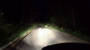 黑暗森林的夜路30秒视频
