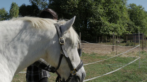 骑白马的年轻女子24秒视频