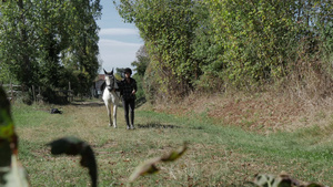 骑白马的年轻女子23秒视频