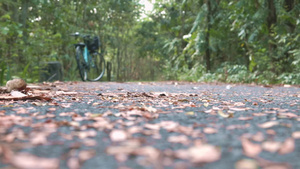 在森林的道路上骑自行车的人7秒视频