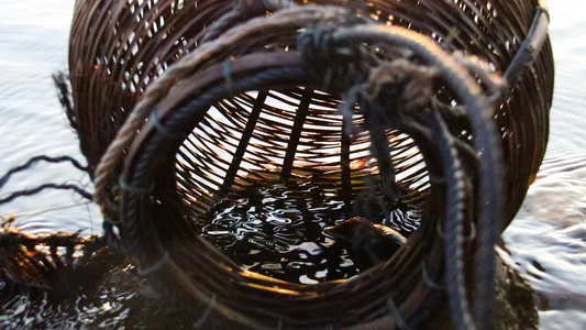 紧贴在用来捕鱼的传统黑棉人编织的篮子上视频