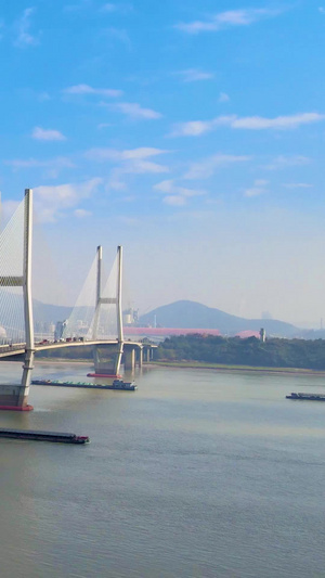 航拍安徽铜陵长江大桥长江经济进口出口交通水运68秒视频