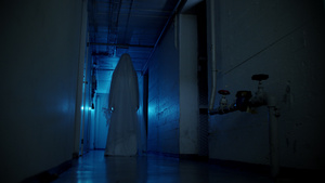 在恐怖走廊的幽灵新娘22秒视频